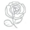 Kitoko ROSE WATER